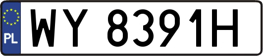 WY8391H