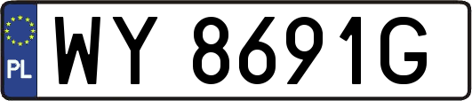 WY8691G