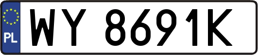 WY8691K
