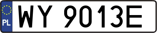 WY9013E