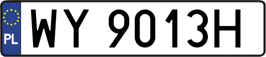 WY9013H