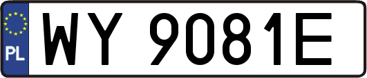 WY9081E
