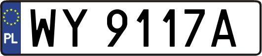 WY9117A