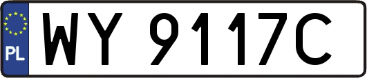 WY9117C