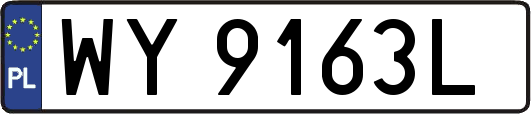 WY9163L