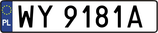 WY9181A