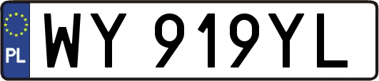 WY919YL