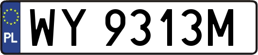 WY9313M