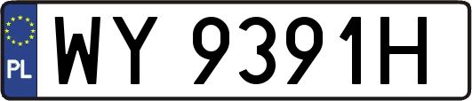 WY9391H