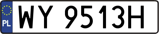 WY9513H
