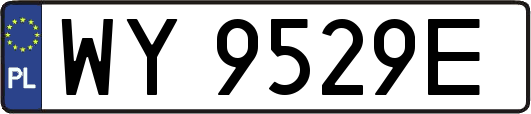 WY9529E