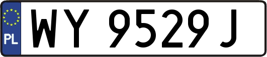 WY9529J