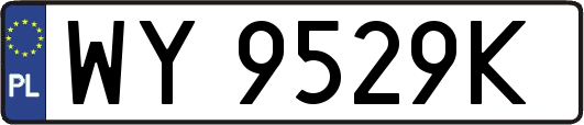 WY9529K