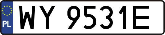 WY9531E