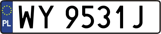 WY9531J