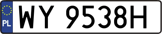 WY9538H