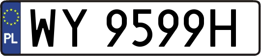 WY9599H