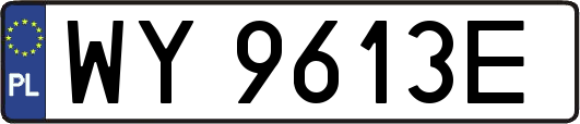 WY9613E