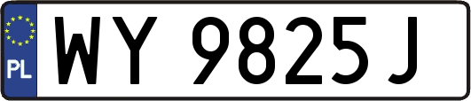 WY9825J