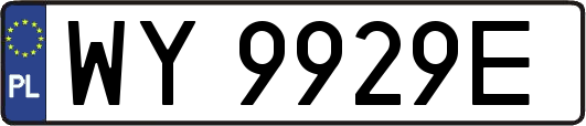 WY9929E