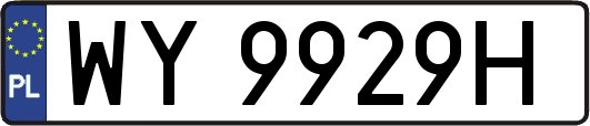 WY9929H
