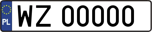 WZ00000