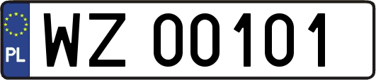 WZ00101