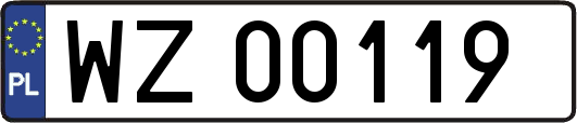 WZ00119