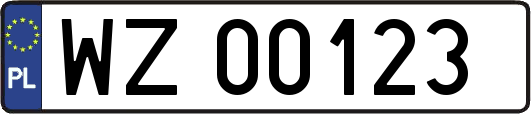 WZ00123