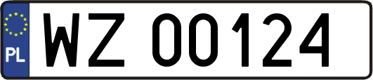 WZ00124