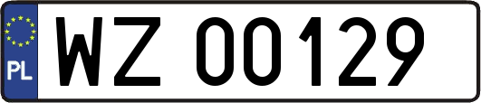 WZ00129