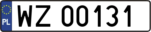 WZ00131