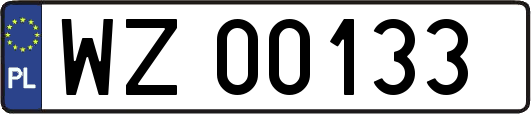 WZ00133