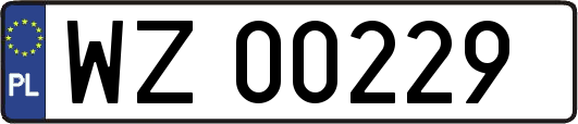 WZ00229