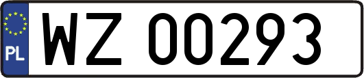 WZ00293