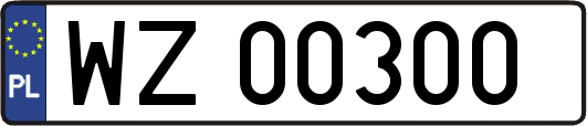 WZ00300