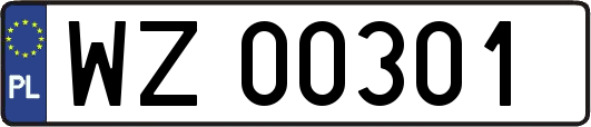 WZ00301