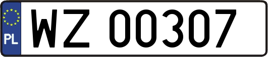 WZ00307