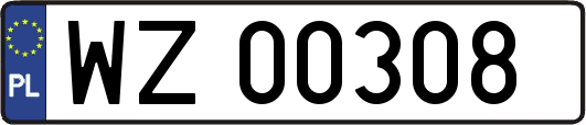 WZ00308