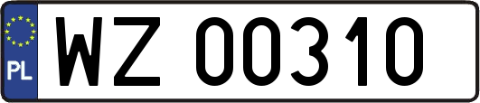 WZ00310