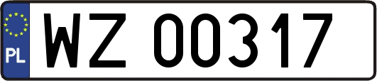 WZ00317