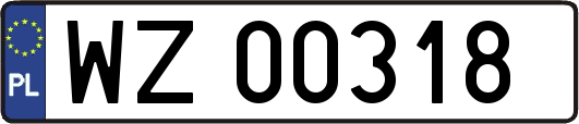 WZ00318