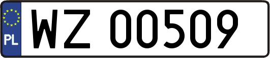 WZ00509