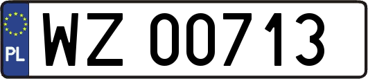 WZ00713