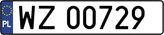 WZ00729
