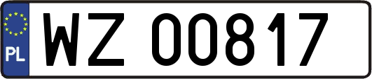 WZ00817