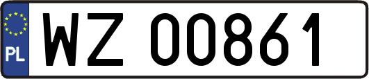WZ00861