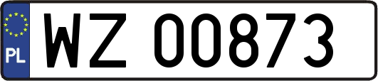 WZ00873