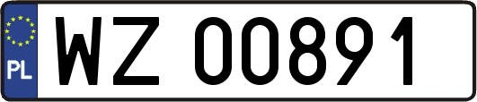WZ00891