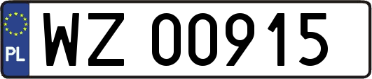 WZ00915